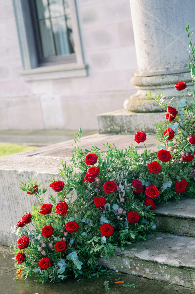 Red roses on the steps of Ballyfin Demesne in Ireland.